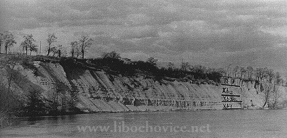Stráň nad Ohří po západní straně Koštic.
V úrovni hladiny Ohře báze svrchního turonu s koprolitovou vrstvou, ve spodní polovině stráně svrchnoturonské jílovité vápence Xb1-2 , nad nimi slínovce Xb3 , svrchu pokryv sprašových hlín. ----- Foto - M.Váně 1944